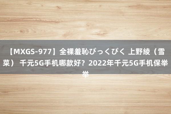 【MXGS-977】全裸羞恥ぴっくぴく 上野綾（雪菜） 千元5G手机哪款好？2022年千元5G手机保举