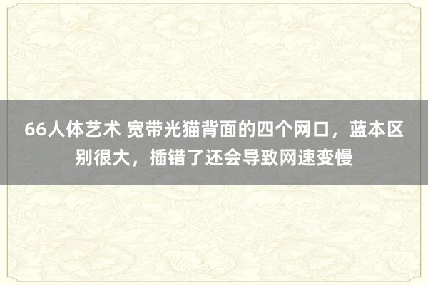 66人体艺术 宽带光猫背面的四个网口，蓝本区别很大，插错了还会导致网速变慢