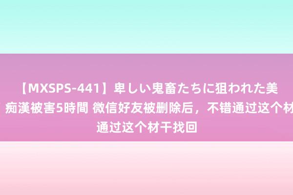 【MXSPS-441】卑しい鬼畜たちに狙われた美女15名 痴漢被害5時間 微信好友被删除后，不错通过这个材干找回