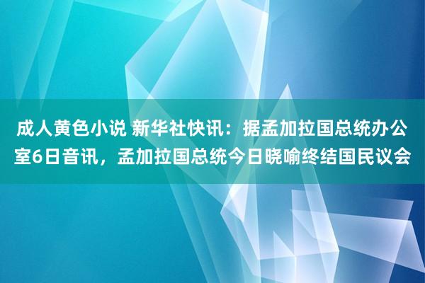 成人黄色小说 新华社快讯：据孟加拉国总统办公室6日音讯，孟加拉国总统今日晓喻终结国民议会