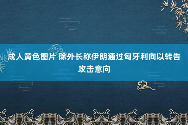 成人黄色图片 除外长称伊朗通过匈牙利向以转告攻击意向