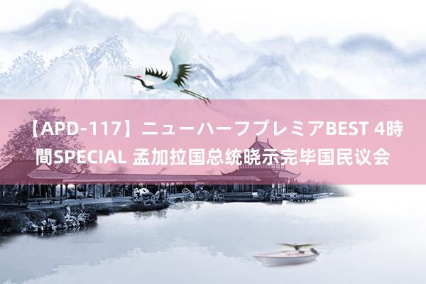 【APD-117】ニューハーフプレミアBEST 4時間SPECIAL 孟加拉国总统晓示完毕国民议会