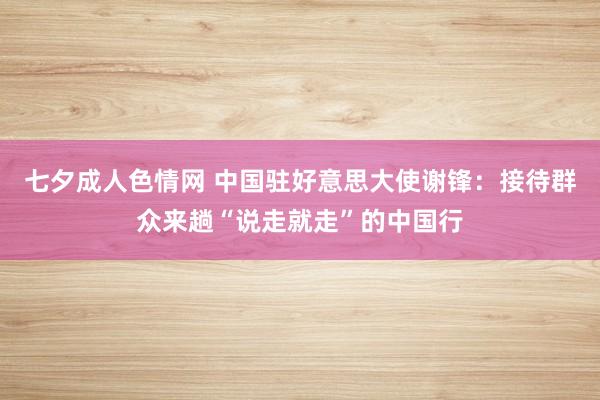 七夕成人色情网 中国驻好意思大使谢锋：接待群众来趟“说走就走”的中国行