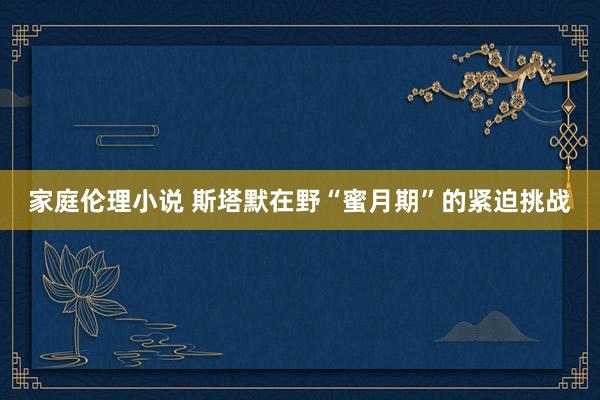 家庭伦理小说 斯塔默在野“蜜月期”的紧迫挑战