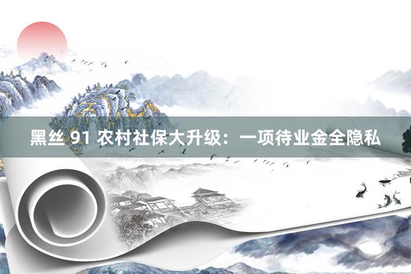 黑丝 91 农村社保大升级：一项待业金全隐私