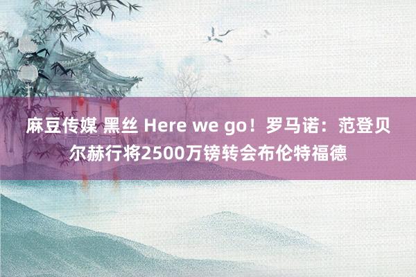 麻豆传媒 黑丝 Here we go！罗马诺：范登贝尔赫行将2500万镑转会布伦特福德