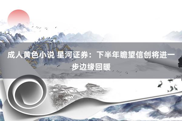 成人黄色小说 星河证券：下半年瞻望信创将进一步边缘回暖