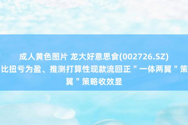 成人黄色图片 龙大好意思食(002726.SZ)上半年同比扭亏为盈、推测打算性现款流回正＂一体两翼＂策略收效显