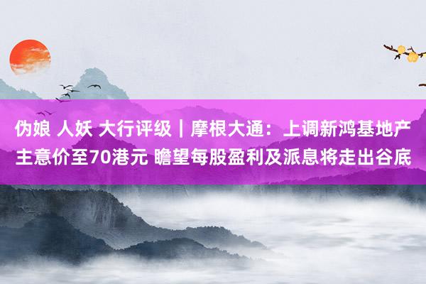 伪娘 人妖 大行评级｜摩根大通：上调新鸿基地产主意价至70港元 瞻望每股盈利及派息将走出谷底