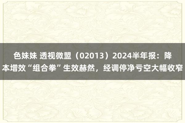 色妹妹 透视微盟（02013）2024半年报：降本增效“组合拳”生效赫然，经调停净亏空大幅收窄