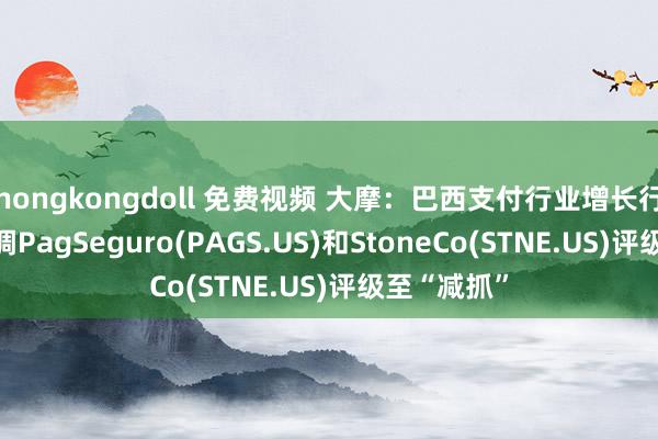 hongkongdoll 免费视频 大摩：巴西支付行业增长行将见顶 下调PagSeguro(PAGS.US)和StoneCo(STNE.US)评级至“减抓”