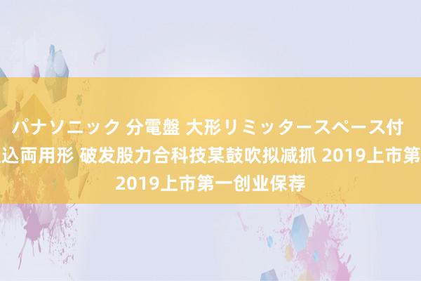 パナソニック 分電盤 大形リミッタースペース付 露出・半埋込両用形 破发股力合科技某鼓吹拟减抓 2019上市第一创业保荐