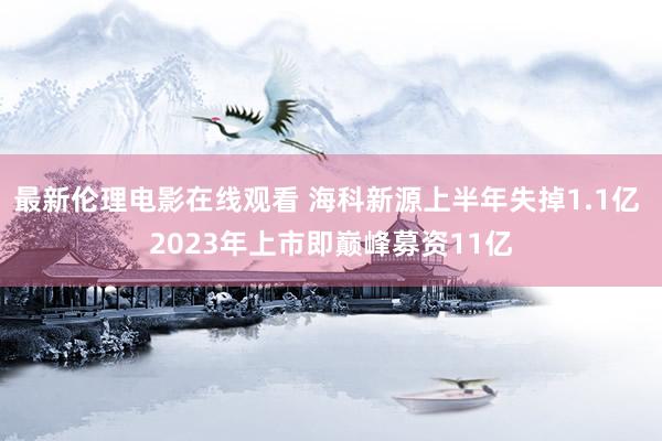 最新伦理电影在线观看 海科新源上半年失掉1.1亿 2023年上市即巅峰募资11亿