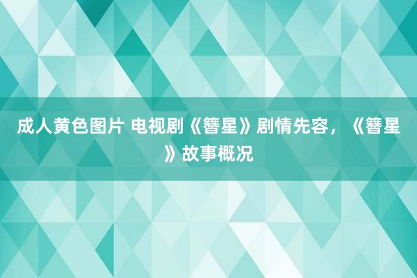 成人黄色图片 电视剧《簪星》剧情先容，《簪星》故事概况